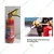 Sainex Dry Powder Stored Pressure Fire Extinguisher, Capacity 1 kg (BC/ABC)
